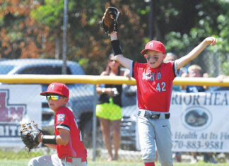 Little League: Mountain Top rallies past Plains to win District 16 8-10 title Mountain Tops left fielder Jaxon Lyman (42) raises his arm after shortstop Eli Metz (10) made an over-the-head catch with his back to the infield during the third inning. Tony Callaio | For Times Leader