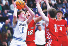 Dallas tops Crestwood but Comets get good news for WVC tournament Dallas point guard Joey Nocito takes aim at the basket as Crestwoods Jack Rodgers (12) and Zach Sechleer defend in the first quarter. Fred Adams l For Times Leader