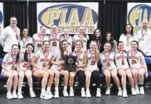 D2 Girls Basketball: Dougherty reaches 1,000 points as Crestwood rolls to title The Crestwood Comets won their second consecutive District 2 Class 5A championship Saturday night by defeating North Pocono. Tony Callaio | For Times Leader