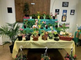 Slocum Township Fire Co. hosts first-annual Plant Bingo Potted plants on display for the Plant Bingo hosted at Slocum Twp. Volunteer Fire Co. (Photo via Brianna Burford, Vice President of the Slocum Township Fire Co.)
