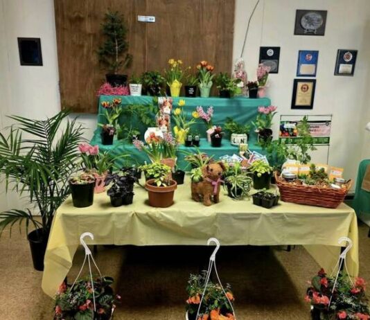 							                                Potted plants on display for the Plant Bingo hosted at Slocum Twp. Volunteer Fire Co. (Photo via Brianna Burford, Vice President of the Slocum Township Fire Co.) 					